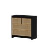 4 Drawers Rattan Cabinet,for Bedroom,Living Room,Dining Room,Hallways,Easy Assembly